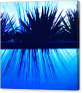 Backlit By Blue Canvas Print