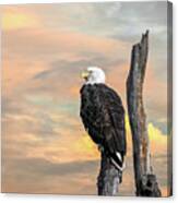 Bald Eagle Inspiration Canvas Print