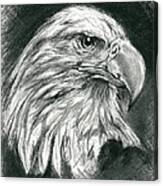 Bald Eagle Intensity Canvas Print