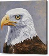 Bald Eagle Portrait Canvas Print