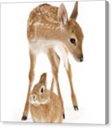 Bambi And Thumper Canvas Print