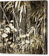 Bamboo And Gingko Canvas Print