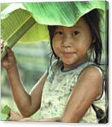 Banana Leaf Umbrella In Laos Canvas Print