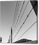 Barbed Fence Canvas Print