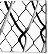 Barbed Wire Canvas Print