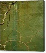 Bare Branch And Wall Canvas Print
