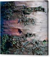 Bark Canvas Print