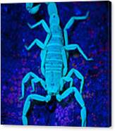 Bark Scorpion By Blacklight Canvas Print