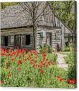 Barn And Castro Poppies Canvas Print