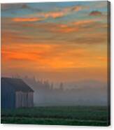 Barn And Mist At Dawn Canvas Print