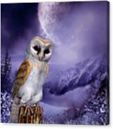 Barn Owl - Winter Scene Canvas Print