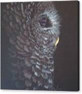Barred Owl 2 Canvas Print