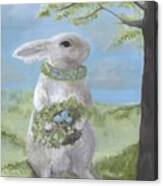 Basil Bunny Canvas Print