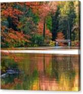 Pond In Autumn Canvas Print