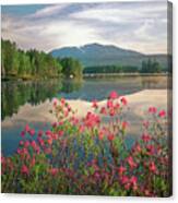 Mt. Katahdin In The Spring Canvas Print