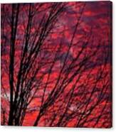 Be Like A Tree At Sunset Canvas Print
