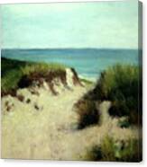 Beach Dunes Canvas Print