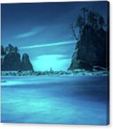 Beach Sea Stacks With Trees Canvas Print