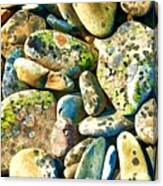 Beach Stones Canvas Print