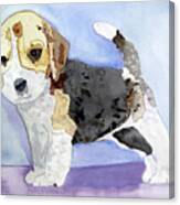 Beagle Pup Canvas Print