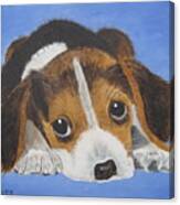 Beagle Sad Eyes Canvas Print