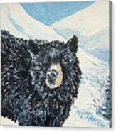 Bear Of The Tetons Canvas Print