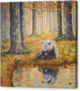 Bear Reflecting Canvas Print