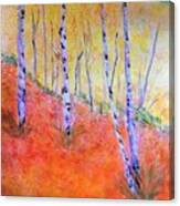 Beautiful Birches Canvas Print