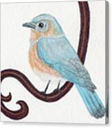 Beautiful Bluebird Canvas Print