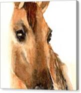 Beautiful Dun Horse Watercolor Canvas Print