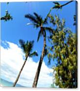 Beautiful Palms Of Maui 17 Canvas Print