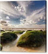 Beautiful Seaweed Rock Outcrops On Norfolk Coast Canvas Print