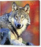 Beautiful Wolf Art Canvas Print