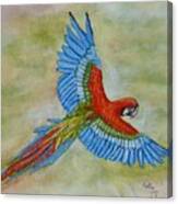 Beauty In The Sky ... Parrot Canvas Print