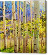 Beauty Of Aspen Colorado Canvas Print