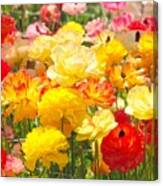 Bed Of Flowers Canvas Print