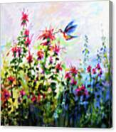 Bee Balm And Hummingbird In Garden Canvas Print