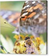 Bee With Painted Lady Background Canvas Print