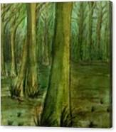 Beech Woods Canvas Print