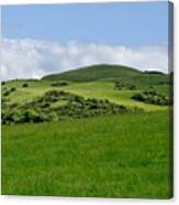 Beecraigs Hills. Canvas Print