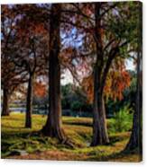 Beginning Of Fall In Texas Canvas Print