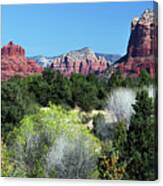 Bell Rock View 7650-101717-2cr Canvas Print
