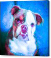 Bella 3 Canvas Print