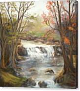 Below the falls Canvas Print