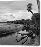 Bend In The River Canvas Print