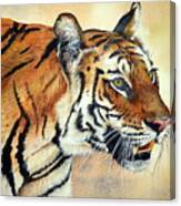Bengal Tiger Canvas Print