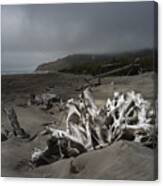 Benson Beach Canvas Print