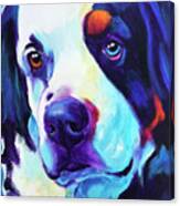 Bernese Mountain Dog - Zeke In Blue Canvas Print
