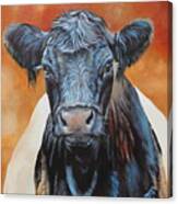 Bertha Beltie Canvas Print