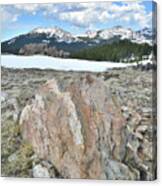 Big Horn Pass In Wyoming Canvas Print